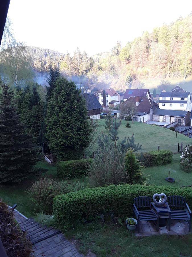 Ferienwohnung für 2 Personen, mit Terrasse und Garten sowie Sauna und Seeblick in Schwarzatal - 4