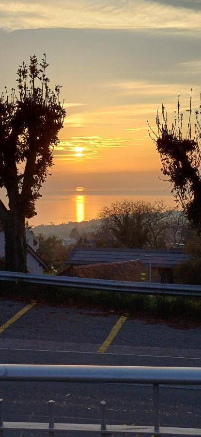 Hôtel pour 3 personnes, avec vue sur le lac ainsi que terrasse et vue, animaux acceptés à Belmont-sur-Lausanne - 2