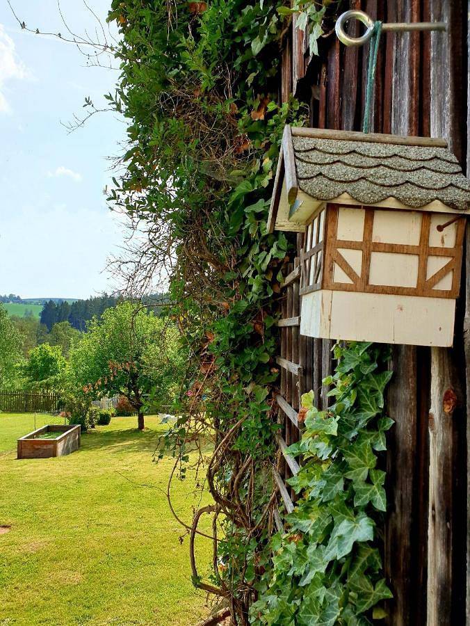 Ferienhaus - Am Waldrand in Krummennaab, Ostbayern