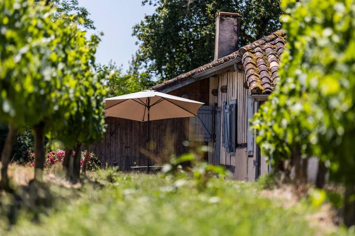 Lascannes in Mauvezin-d'Armagnac, Landes