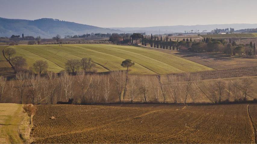 Villa Del Lago in Castiglione del Lago, Lago Trasimeno