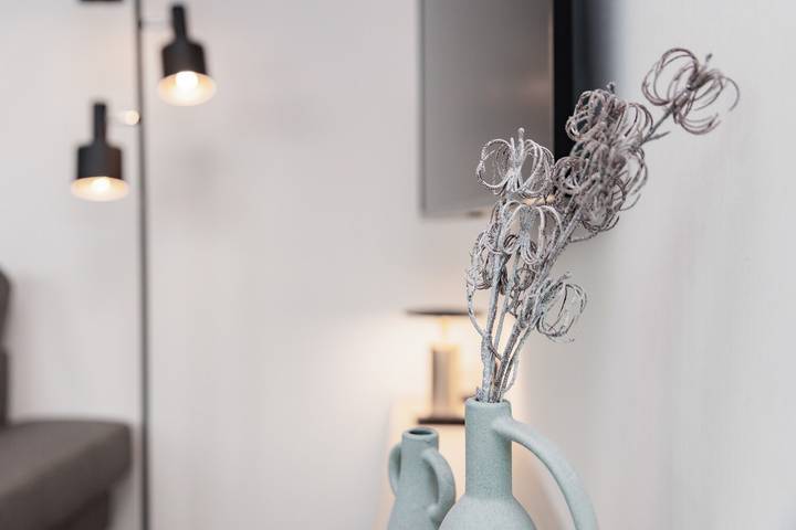 Ferienhaus für 4 Personen, mit Garten in Scharendijke - 4