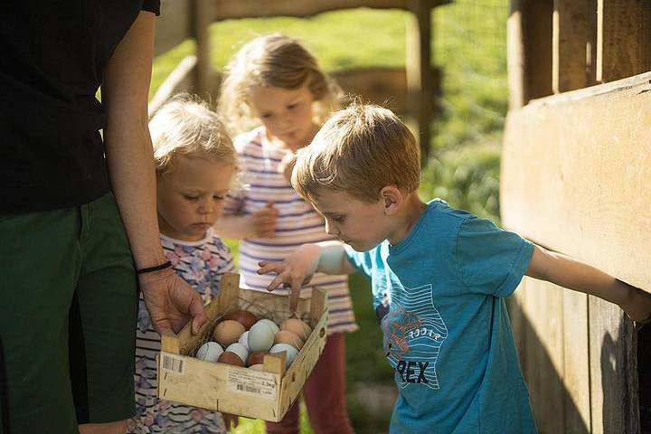 Ferienhaus für 4 Personen, mit Garten und Sauna, mit Haustier im Sauerland - 3