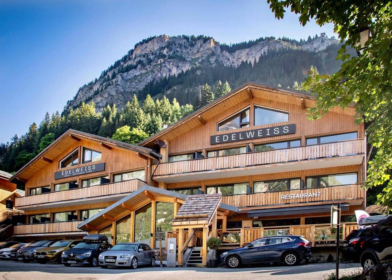 Hotel L'Edelweiss in Pralognan-la-Vanoise, Massif de la Vanoise