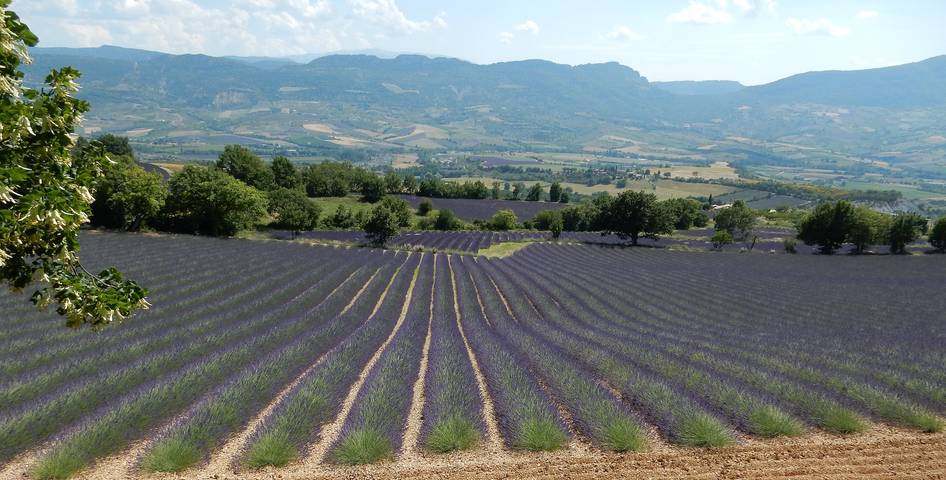 Gîte pour 4 personnes dans Drôme provençale - 4