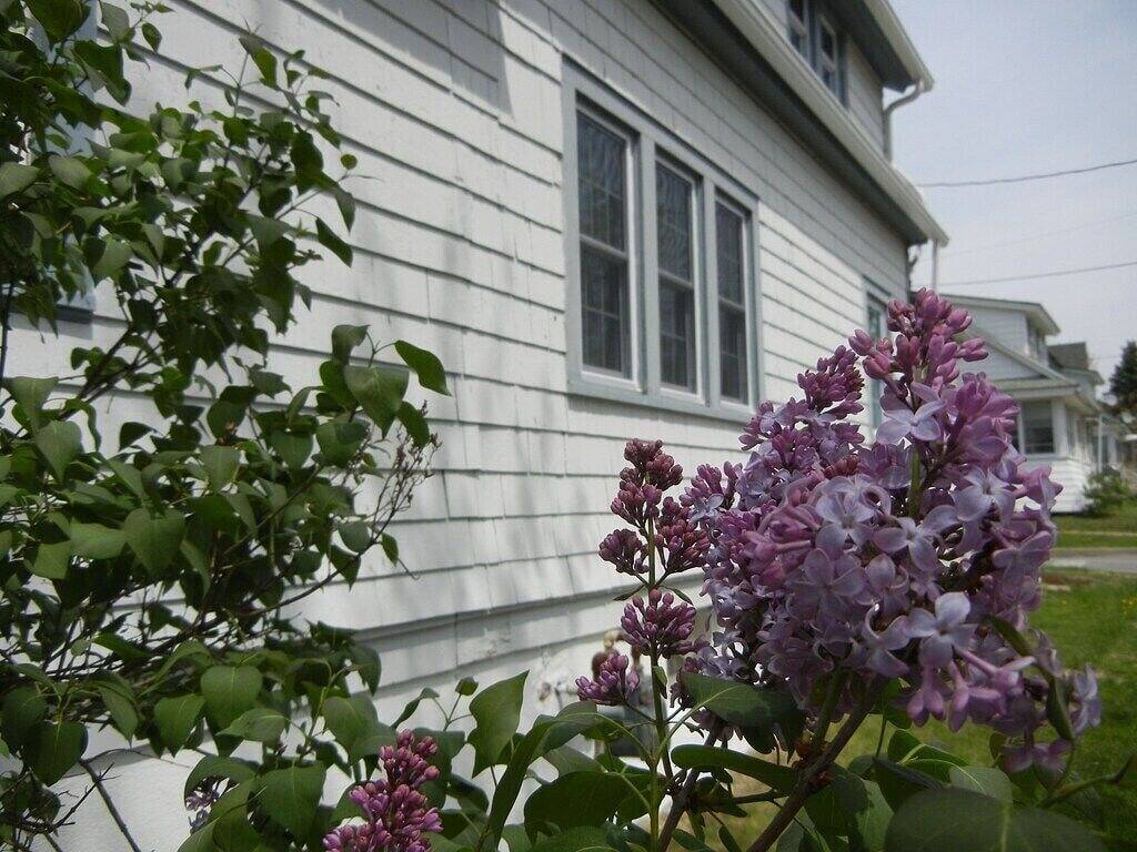 2-bedroom vacation home in Hammondsport near Keuka Lake in Hammondsport, Keuka Lake