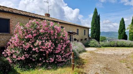Casa Vacanza per 15 Persone in Pomarance, Riserva Naturale di Monterufoli, Foto 3