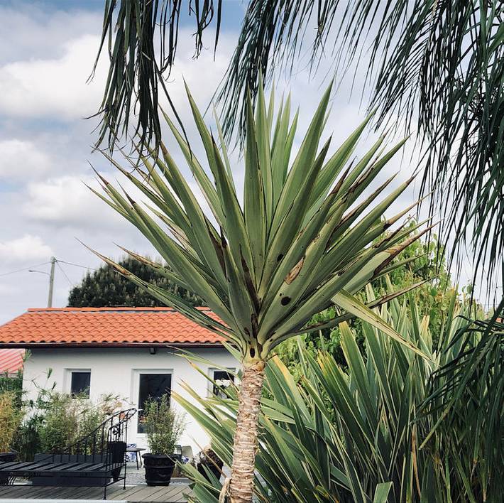 Chambre d’hôte pour 2 personnes, avec terrasse dans les Landes - 3
