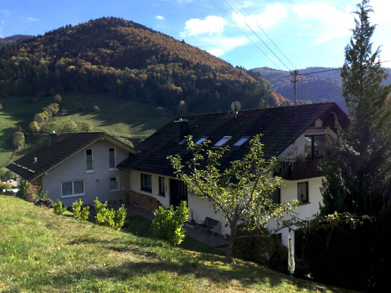 Ganze Ferienwohnung, Erikas Haus - Ferienwohnung Laitschenbach, 55qm, 1 Schlafraum, Balkon, max. 4 Personen, 1.Og in Obermünstertal, Münstertal