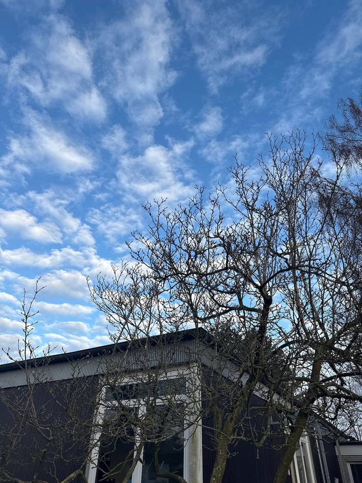 Ferienhaus für 12 Personen, mit Garten in Hamburg Umland