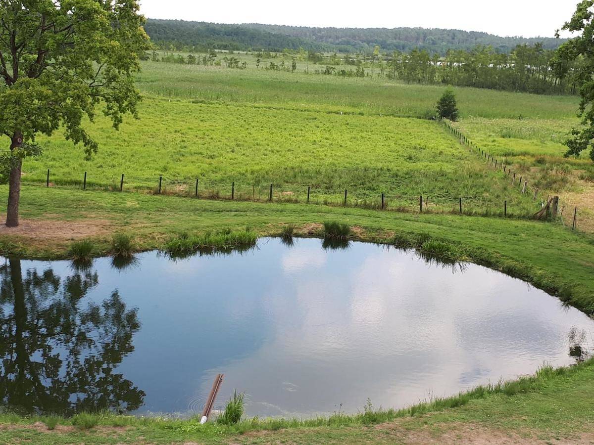 Double Room in Lenzen (Elbe), Prignitz