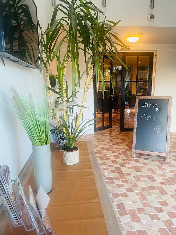 Equus B&B in Bredene, Belgische Kust