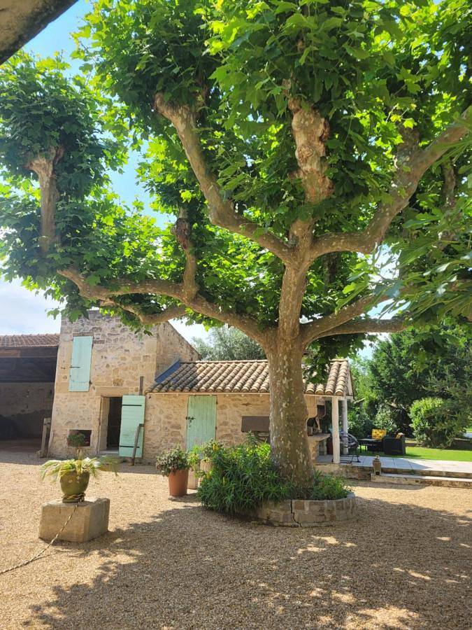 Mas Tareau Chambres d Hotes in Beaucaire, Région de Nîmes