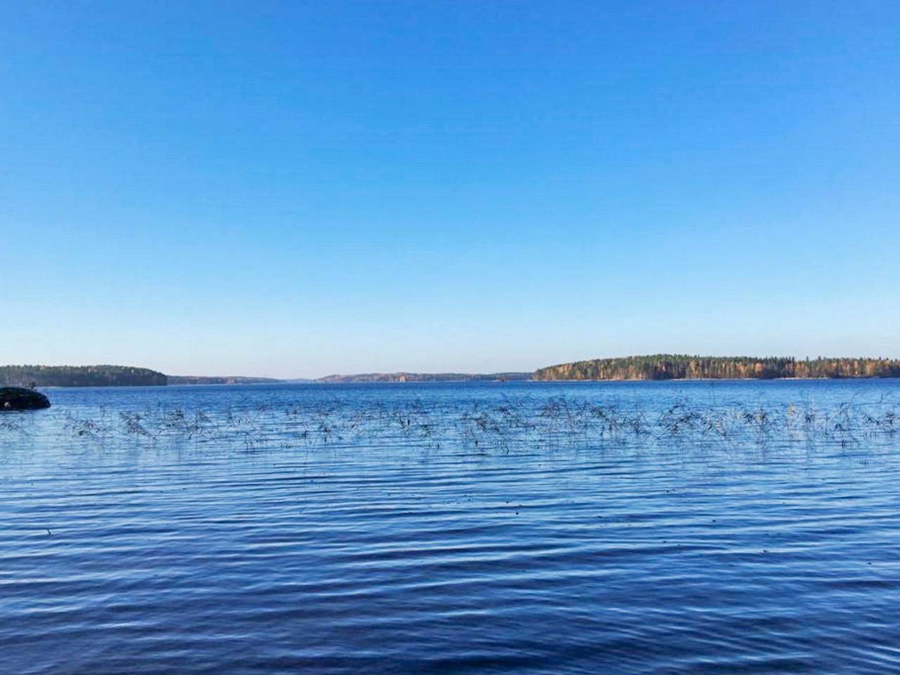 Hevonkuusi in Ristiina, Mikkeli