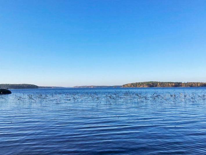 Hevonkuusi in Ristiina, Mikkeli