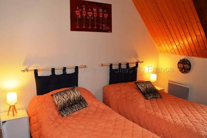 Gîte pour 6 personnes dans Château d'Amboise - 4