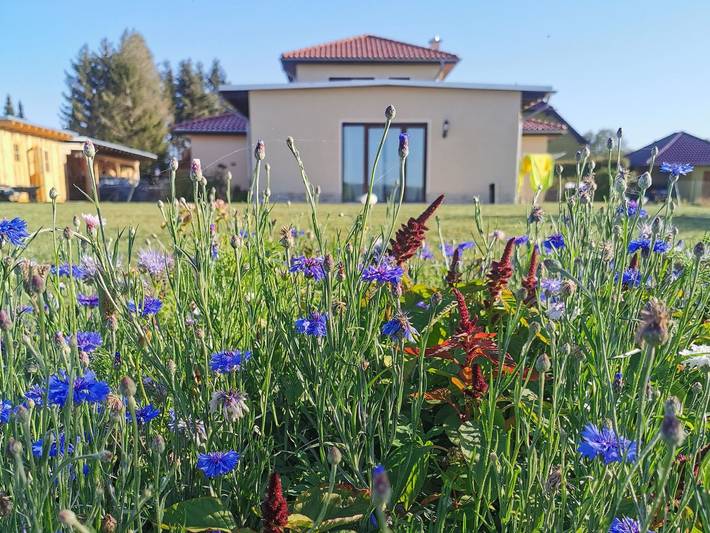 Ferienhaus für 4 Personen, mit Terrasse und Garten sowie Sauna und Ausblick in Harzgerode - 3