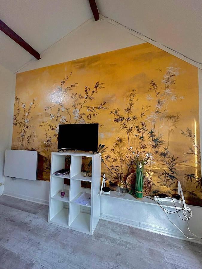 Gîte pour 4 personnes, avec terrasse à Billère - 4