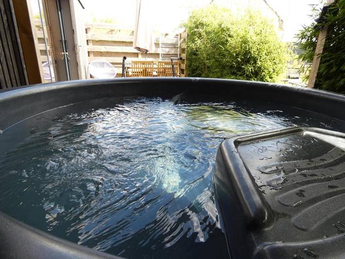 Location de vacances pour 2 personnes, avec sauna ainsi que jardin et jacuzzi, animaux acceptés à Saint-Coulitz - 4