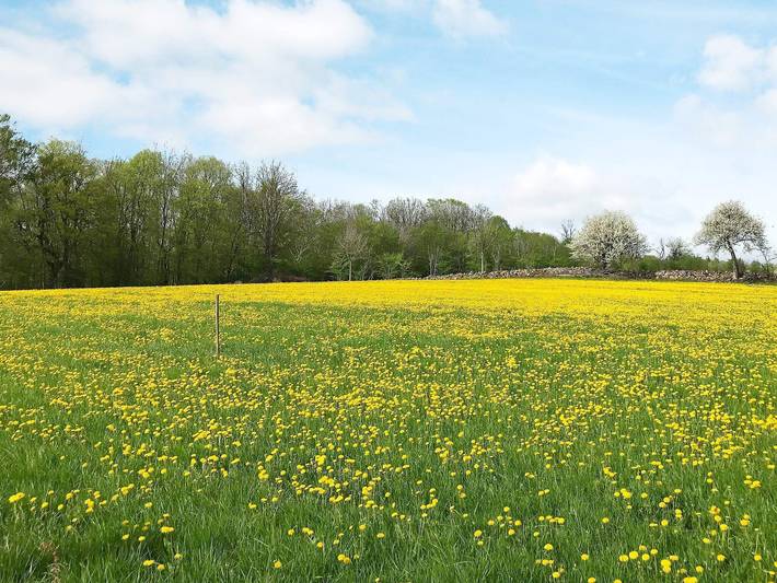 4 Personen Ferienhaus in Lerdala in Skövde, Västergötland