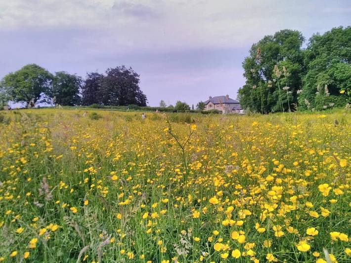 Bed and breakfast for 2 people, with Garden in Navan