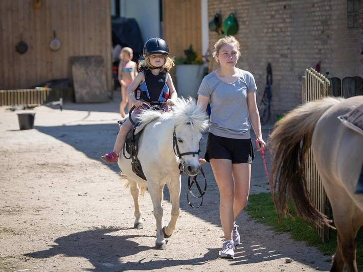 Bauernhof für 6 Personen, mit Garten und Terrasse sowie Sauna, mit Haustier in Geltinger Bucht - 4