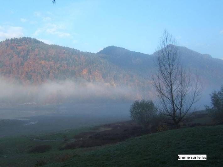 Gîte pour 4 personnes, avec vue et jardin, animaux acceptés à Oderen - 4
