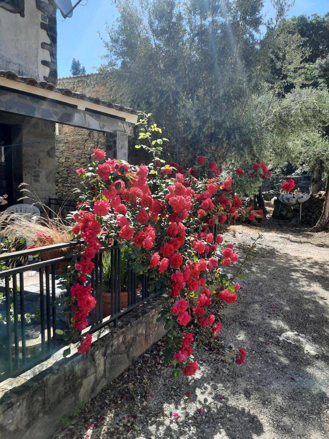 Location de vacances pour 6 personnes, avec terrasse à Proença-a-Nova - 2