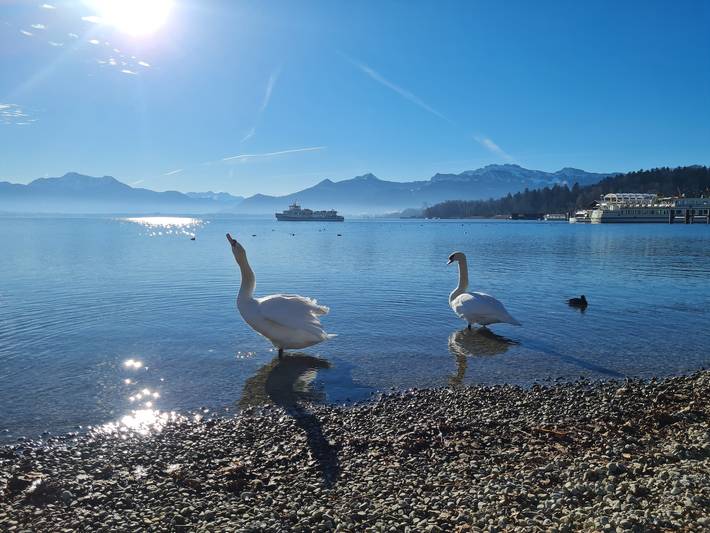 Ferienwohnung für 2 Personen, mit Sauna und Garten sowie Seeblick, kinderfreundlich in den Bayerische Alpen - 4