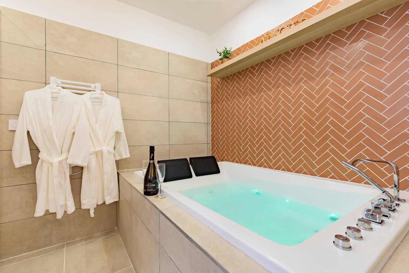 Apartamento entero, Apartamento de vacaciones para 2 personas con jacuzzi in Albi (Tarn), Región de Albi
