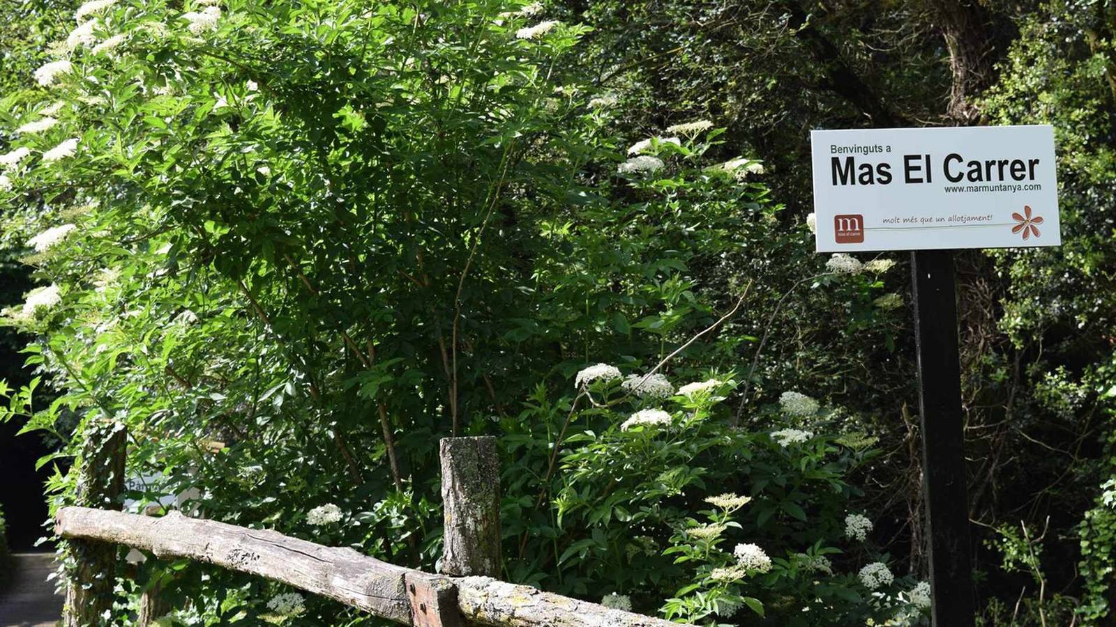 Ganze Wohnung, Ferienwohnung 'Mas El Carrer - Blau' mit Gemeinschaftspool, Gemeinschaftsgarten und Wi-Fi in Santa Pau, Naturpark Zona Volcànica de la Garrotxa