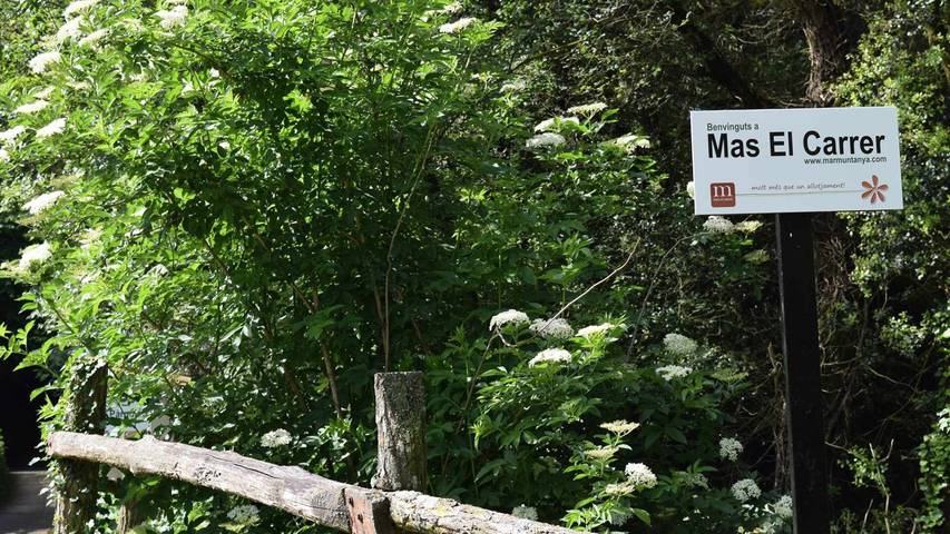 Apartamento de vacaciones para 5 personas, con Jardín en Garrotxa - 4