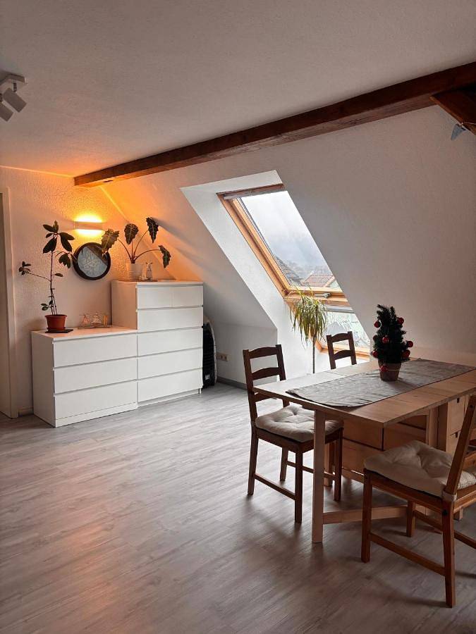 Ferienwohnung für 4 Personen, mit Ausblick und Garten in Zella-Mehlis - 3