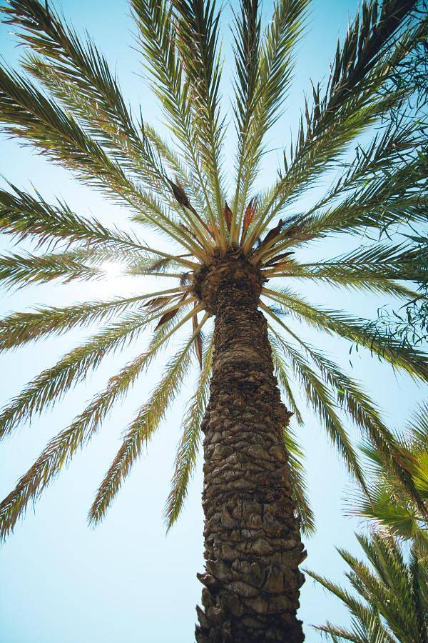 Casa rural para 8 personas, con jardín además de piscina y vistas en Cuevas del Almanzora - 4