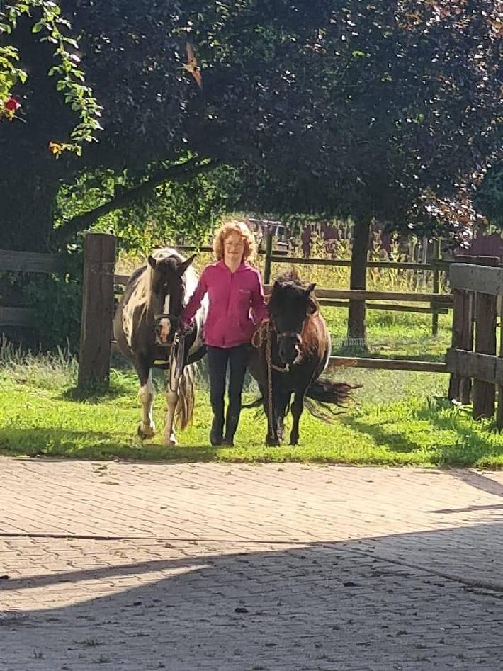 Gîte pour 4 personnes, adapté aux familles à Friedrichshafen - 2