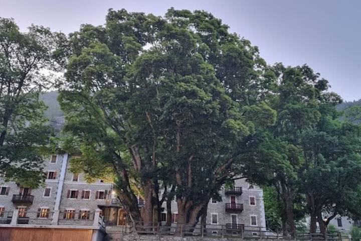 Gîte pour 2 personnes, avec jardin et vue à Ceresole Reale - 3