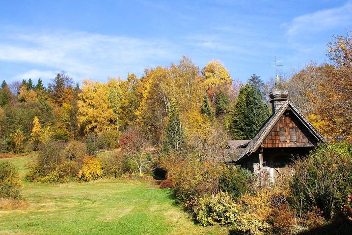 Ganze Wohnung, Ferienwohnungen Bauer – Auszeit mit Ausblick - Ferienwohnung Aussichtsbankerl (Eg mit Terrasse) in Zenting, Ostbayern