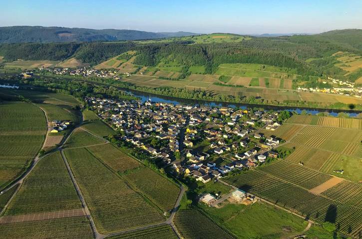 Ferienwohnung für 2 Personen, mit Terrasse und Garten in Schweich an der Römischen Weinstraße - 3