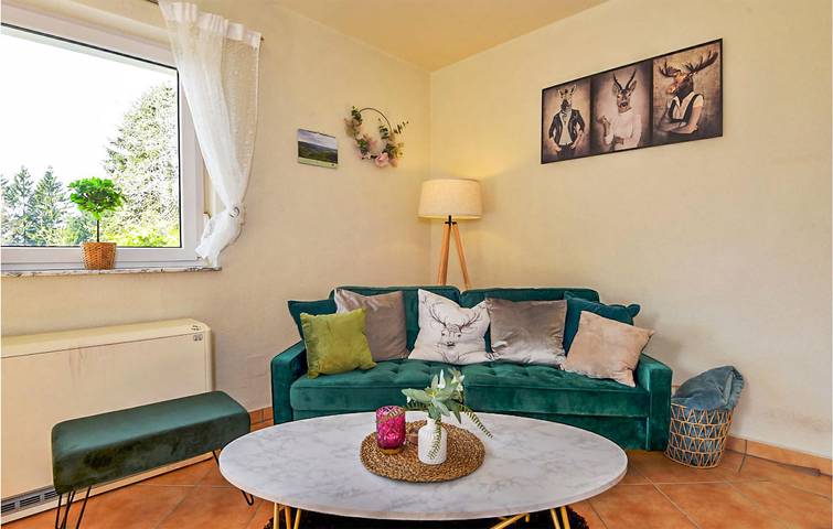 Ferienhaus für 4 Personen, mit Terrasse in Goldlauter - Heidersbach - 3