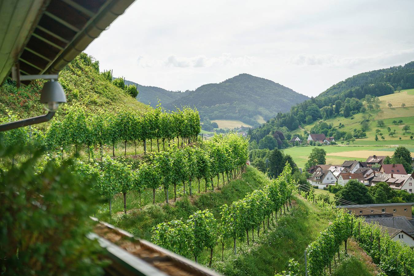 Ganze Wohnung, Ferienwohnung 'Panoramazimmer 11' mit Bergblick, Gemeinschaftsterrasse und Wi-Fi in Glottertal, Südschwarzwald