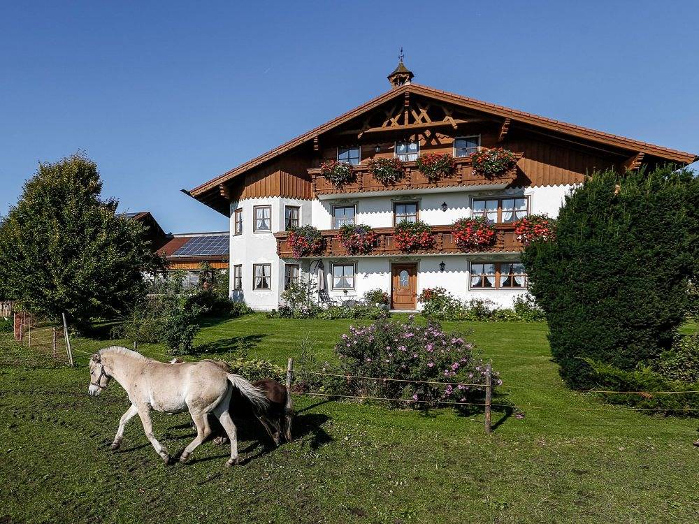Ganze Wohnung, Berghof Walser - Benediktenwand in Obersöchering, Pfaffenwinkel