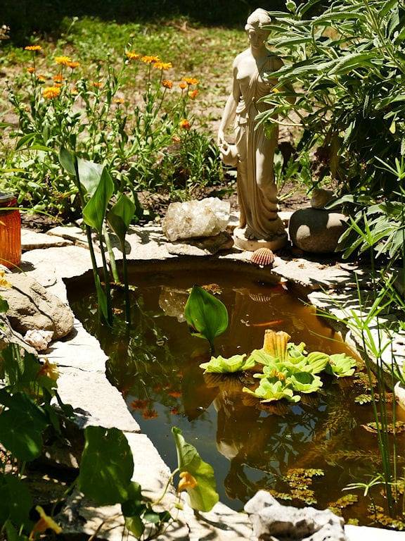 Chambre d’hôte pour 3 personnes, avec jardin dans les Alpes-de-Haute-Provence - 3