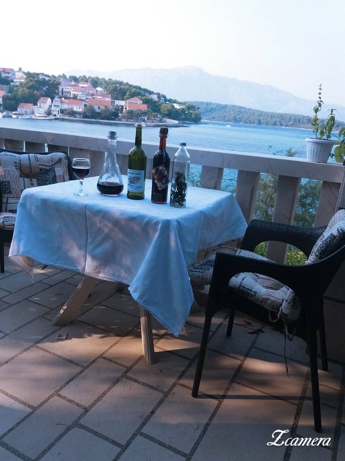Location de vacances pour 8 personnes, avec vue sur l’océan ainsi que jardin et vue à Lumbarda - 4
