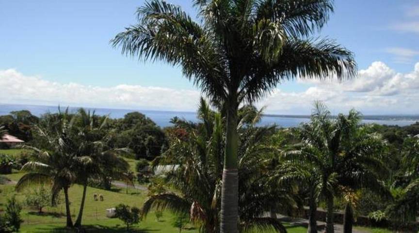 Maison d’hôte pour 2 personnes, avec jardin ainsi que piscine et jacuzzi dans Hawai - 2