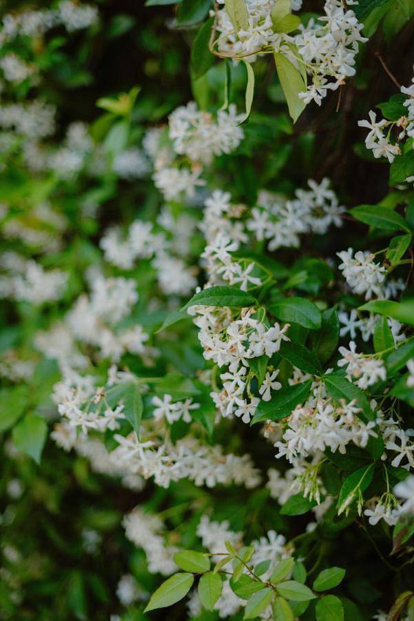 Maison d’hôte pour 2 personnes, avec vue et jardin à Saint-Rémy-de-Provence - 3
