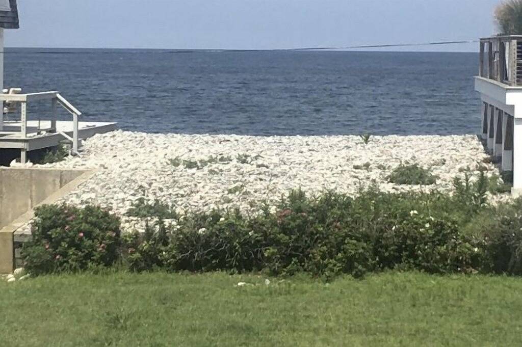 Rustikales Strandhaus am Meer in Scituate, Massachusetts