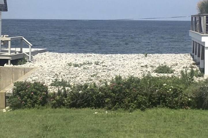Ferienhaus für 6 Personen, mit Terrasse und Garten, mit Haustier - 1