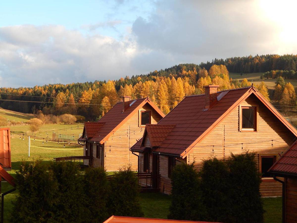 Chalet in Karpaty (Polska)