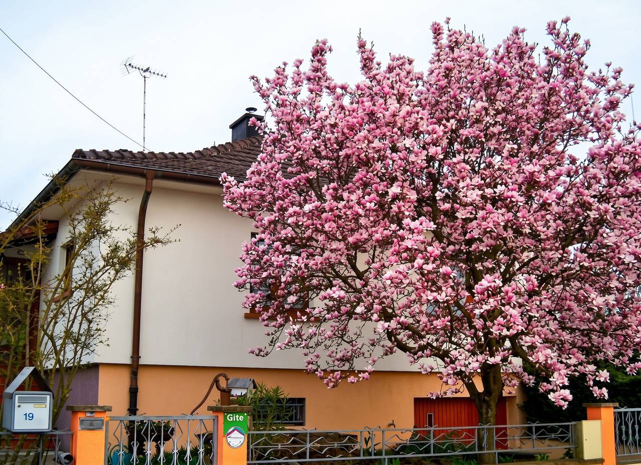 Appartement entier, Appartement charmant à Jebsheim avec terrasse et jardin in Jebsheim, Région de Colmar