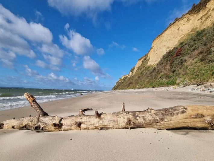 Ferienhaus für 6 Personen, mit Terrasse, mit Haustier in Ostjütland - 3